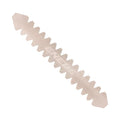 מגן מחבט פאדל Enebe Tiny Dentado
