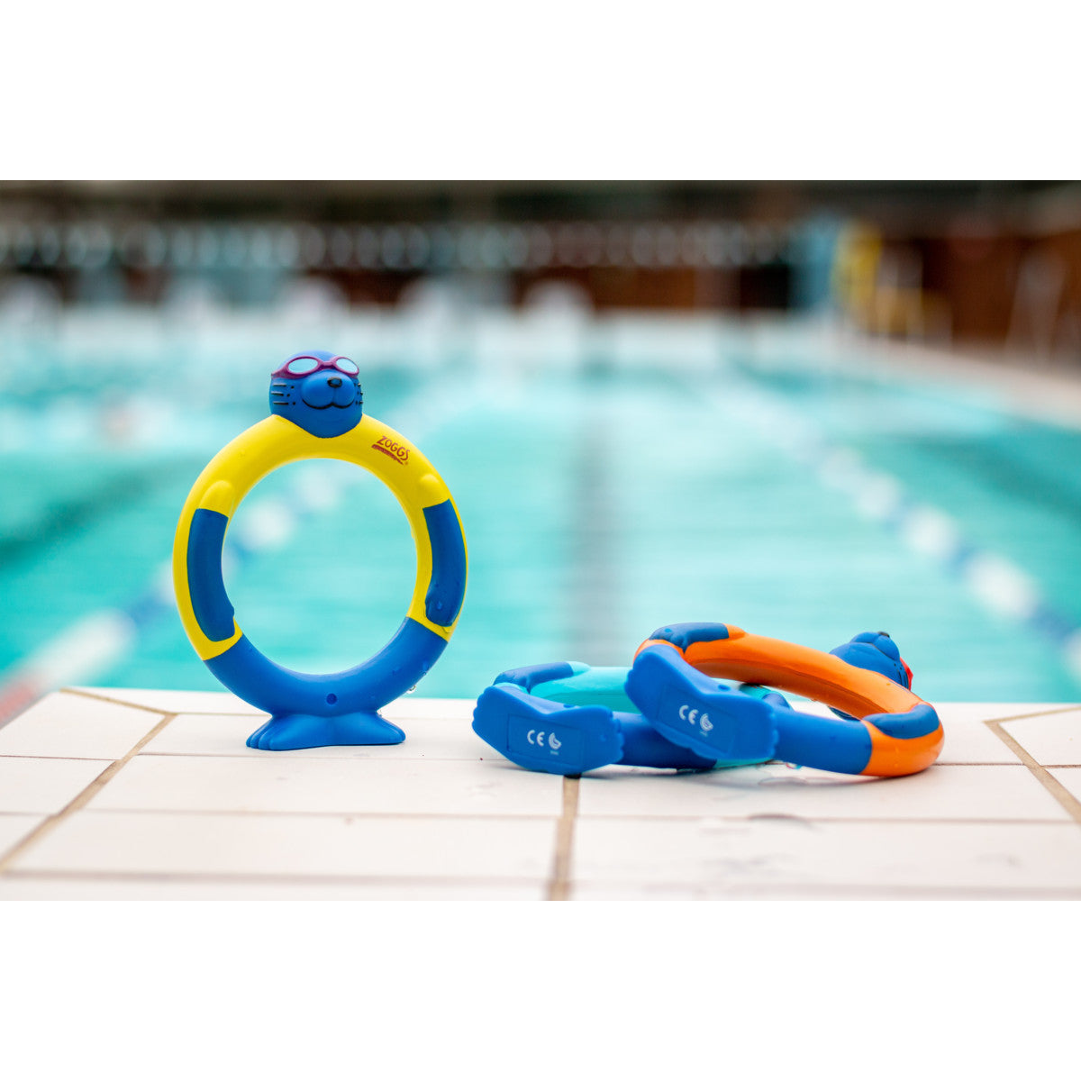 משחק צלילה Zoggs Zoggy Dive Rings
