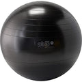 כדור פיזיו Gymnic Plus BRQ 65cm